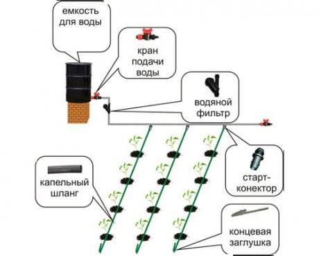 How to make drip irrigation with your own hands + video