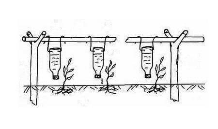 How to make drip irrigation with your own hands + video