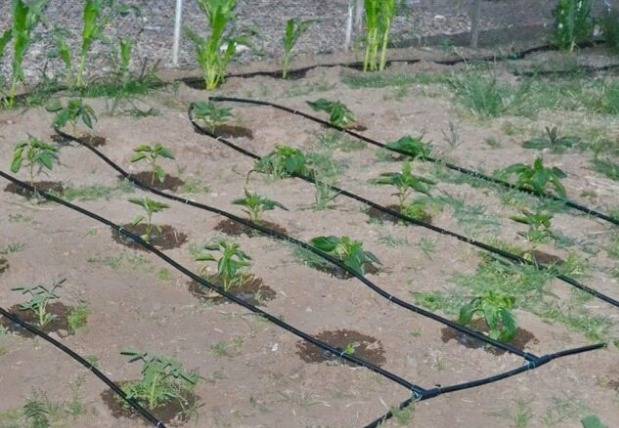 How to make drip irrigation with your own hands + video