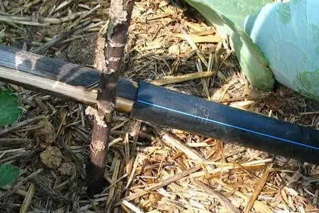 How to make drip irrigation with your own hands + video