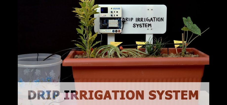 How to make drip irrigation with your own hands + video