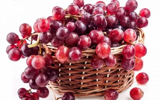 How to make homemade wine from red grapes