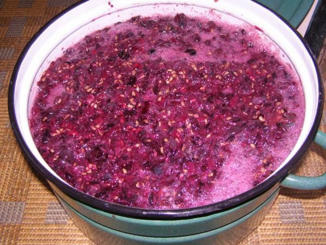 How to make homemade wine from red grapes