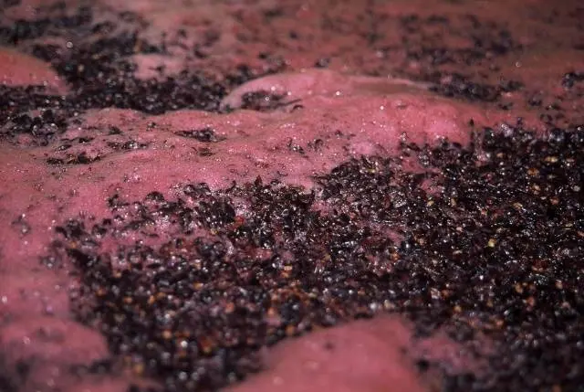 How to make homemade wine from red grapes