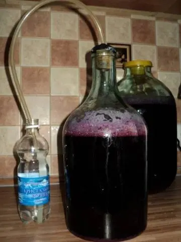 How to make homemade wine from red grapes