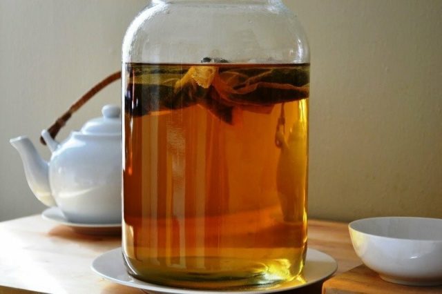 How to make kombucha at home with your own hands: how to put and grow, photo, video