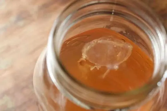 How to make kombucha at home with your own hands: how to put and grow, photo, video