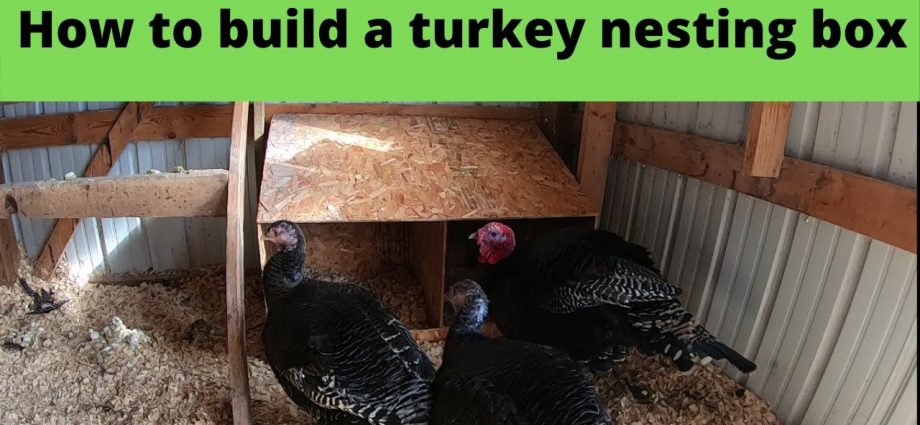 How to make nests for turkeys 