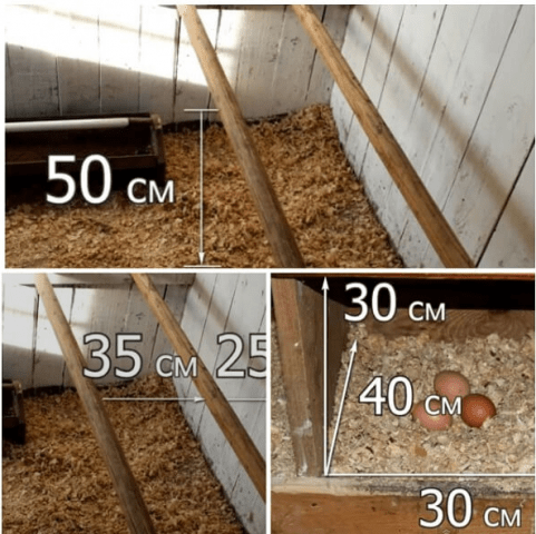 How to make nests in a chicken coop 