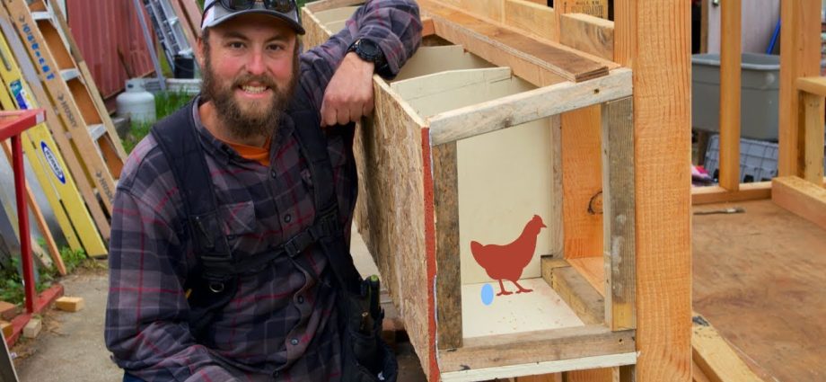 How to make nests in a chicken coop 