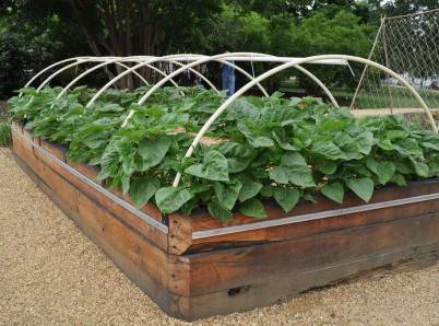 How to make raised beds + video