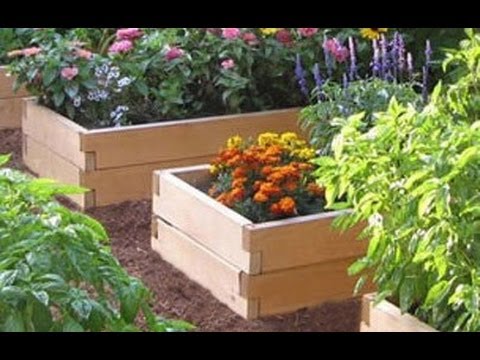 How to make raised beds + video