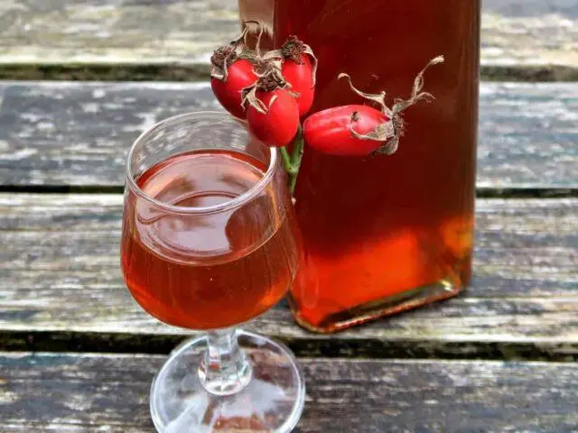 How to make rosehip wine at home