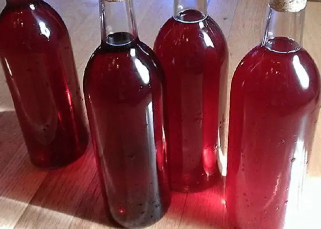 How to make rosehip wine at home