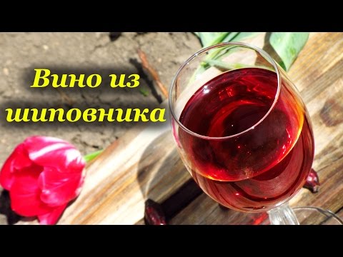 How to make rosehip wine at home