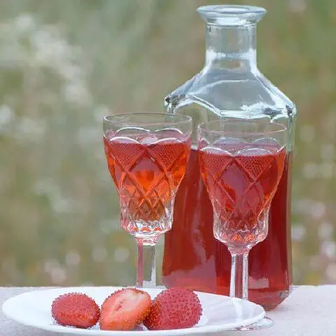 How to make strawberry liqueur at home