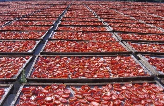 How to make sundried tomatoes at home