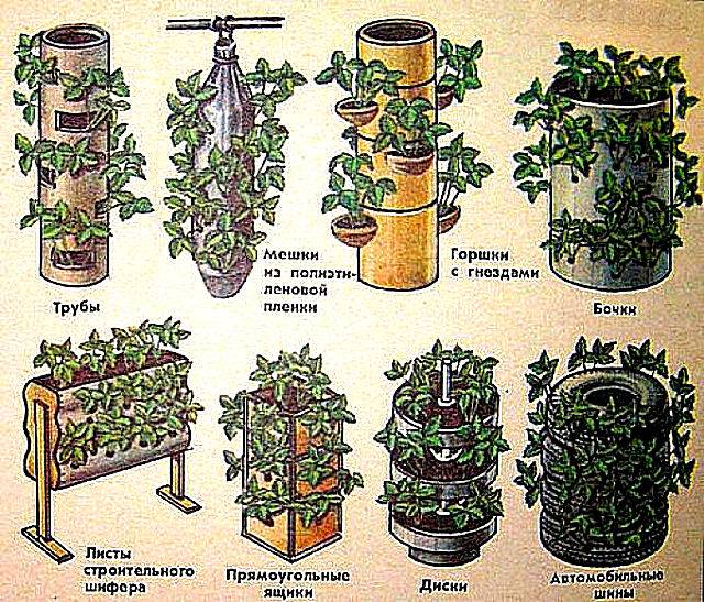 How to make vertical beds for strawberries 