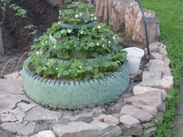 How to make vertical beds for strawberries 