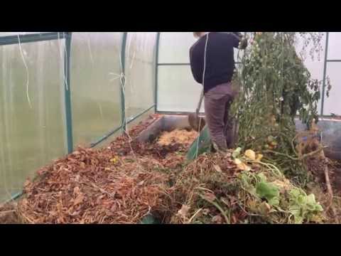 How to make warm beds for cucumbers in a greenhouse