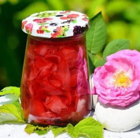 How to make wild rosehip jam at home