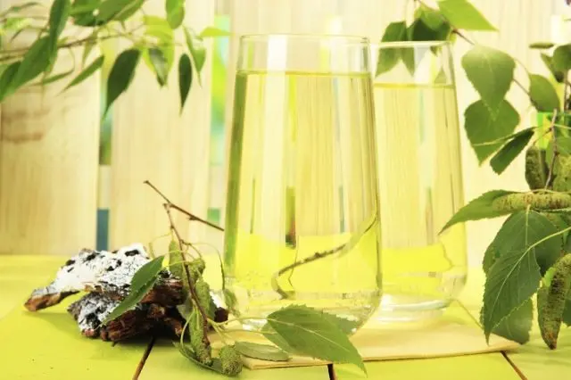 How to make wine from birch sap