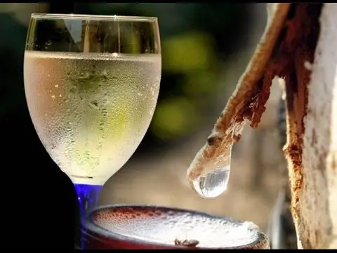 How to make wine from birch sap