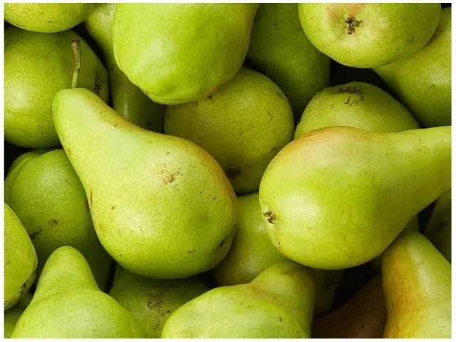 How to make wine from homemade pears