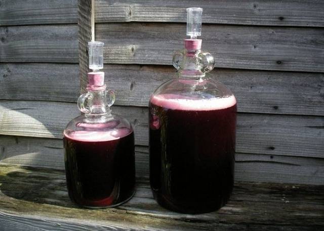 How to make wine from irgi