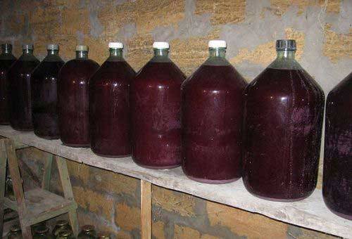 How to make wine from irgi