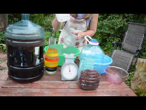 How to make wine from irgi