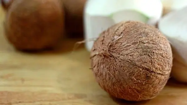 How to Peel a Coconut: The Easy Way, Using a Knife, Hammer, Corkscrew or Hand Saw + Heat and Freeze Methods