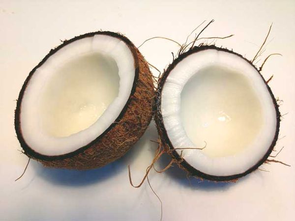 How to Peel a Coconut: The Easy Way, Using a Knife, Hammer, Corkscrew or Hand Saw + Heat and Freeze Methods