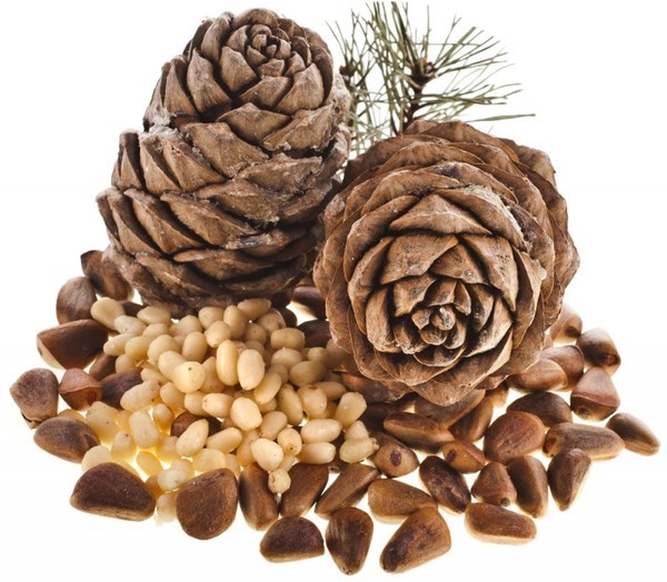 How to peel pine nuts at home: interesting ways