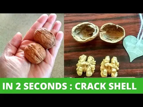 How to peel walnuts from shells and partitions at home