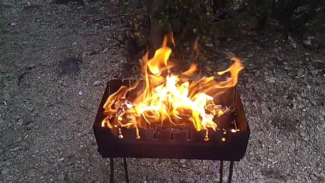 How to pickle a beaver for smoking at home: hot, cold