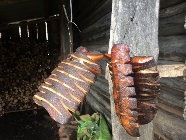 How to pickle a beaver for smoking at home: hot, cold