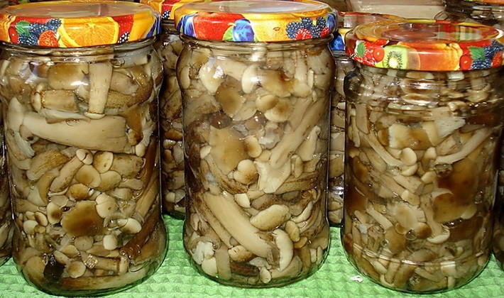 How to pickle autumn mushrooms: recipes for the winter