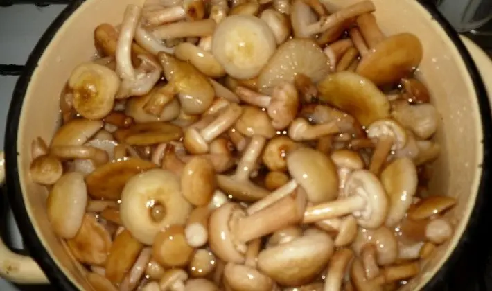 How to pickle autumn mushrooms: recipes for the winter