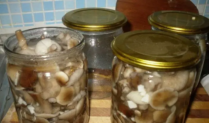 How to pickle autumn mushrooms: recipes for the winter