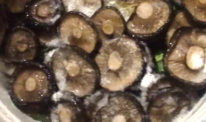 How to pickle black milk mushrooms at home (with video)