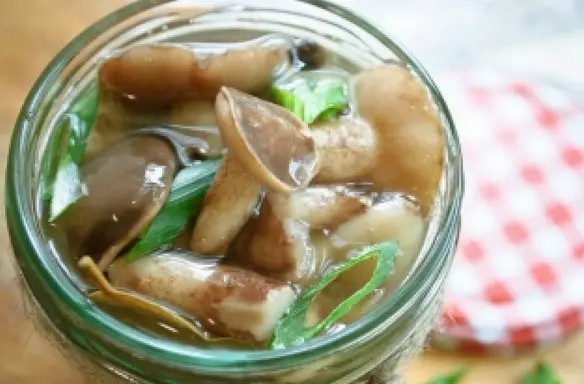 How to pickle boletus: cooking recipes for the winter, salting in jars, in a bucket, under a nylon lid