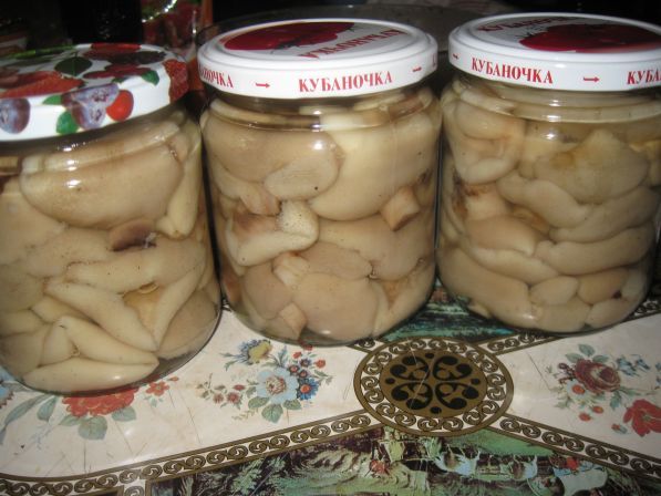 How to pickle boletus: cooking recipes for the winter, salting in jars, in a bucket, under a nylon lid