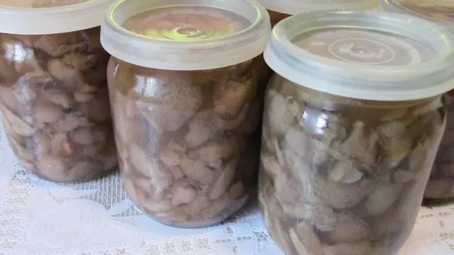 How to pickle boletus: cooking recipes for the winter, salting in jars, in a bucket, under a nylon lid