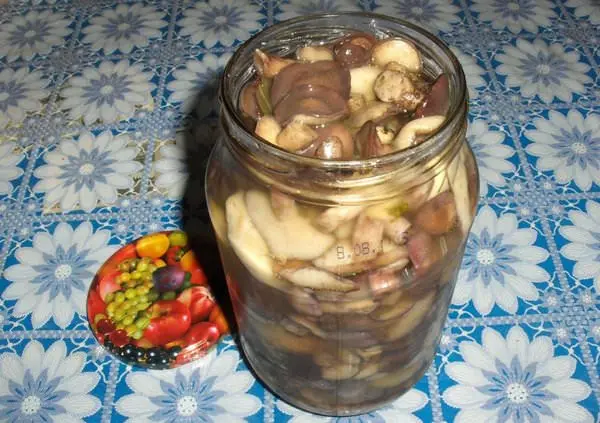 How to pickle boletus: cooking recipes for the winter, salting in jars, in a bucket, under a nylon lid