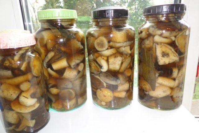 How to pickle boletus for the winter