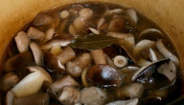 How to pickle boletus for the winter