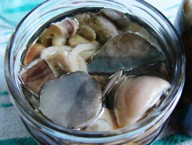 How to pickle boletus for the winter