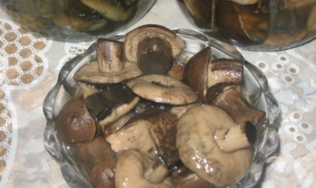 How to pickle boletus for the winter