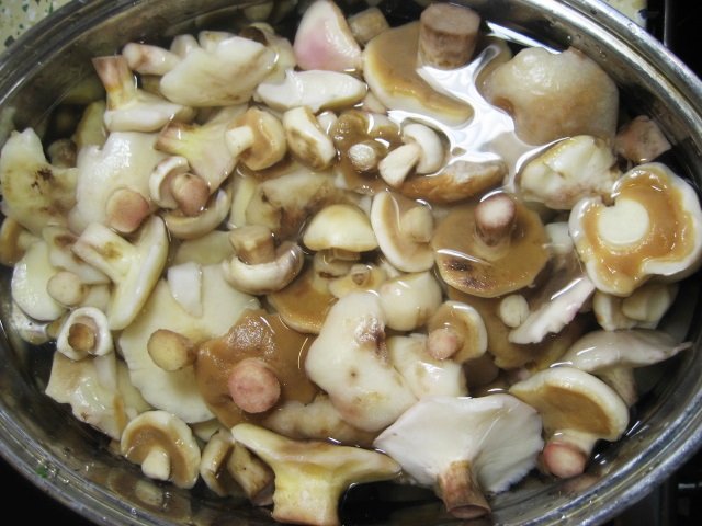 How to pickle boletus for the winter at home